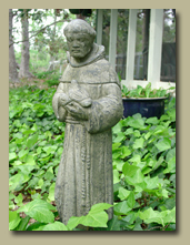 A statue of St. Francis surrounded by ivy